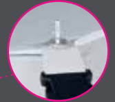 Dorema Palma  Voortentluifel 