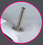 Dorema Palma  Voortentluifel 